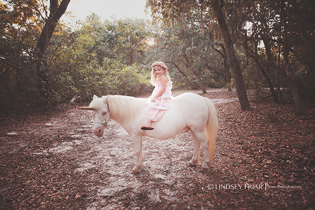 Pensacola, FL Child Photographer - Lindsey Friar Photography 2015