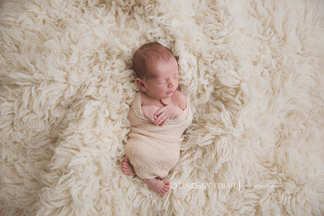 Pensacola, FL Newborn Photographer - Lindsey Friar Photography 2015