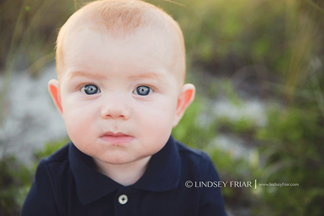 Pensacola, FL Family Photographer - Lindsey Friar Photography 2015
