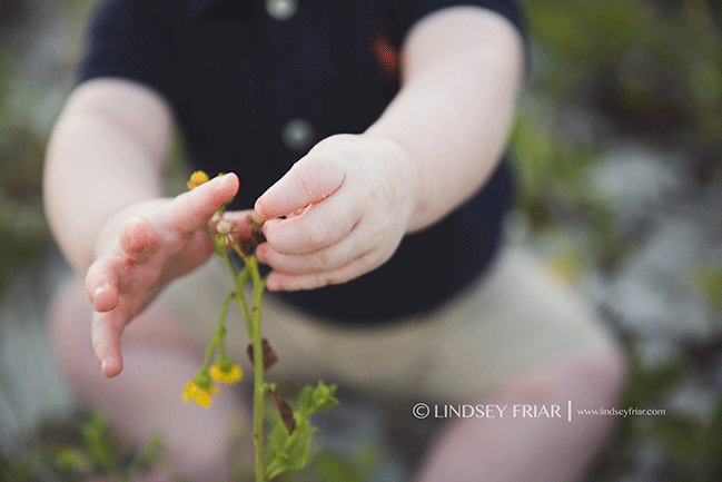 Pensacola, FL Family Photographer - Lindsey Friar Photography 2015
