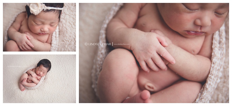 Pensacola, FL Newborn Photographer - Lindsey Friar Photography 2015