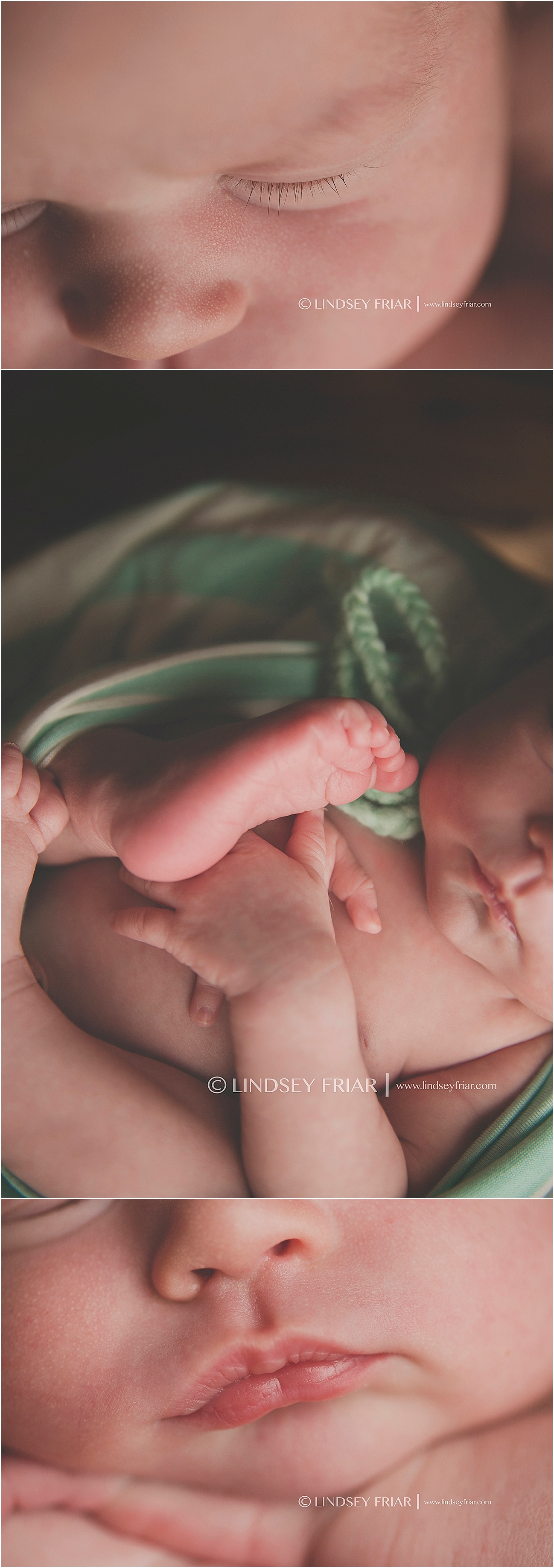 Pensacola, FL Newborn Photographer - Lindsey Friar Photography 2015