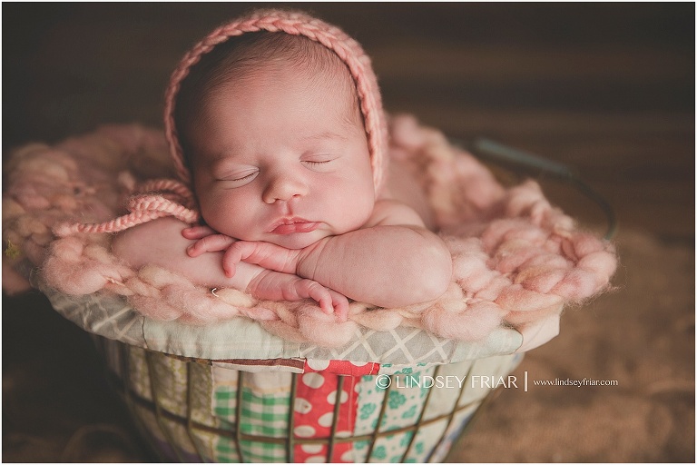 Pensacola, FL Newborn Photographer - Lindsey Friar Photography 2015