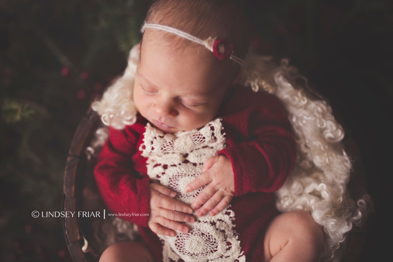 Pensacola Newborn Photographer - Lindsey Friar Photography 2015