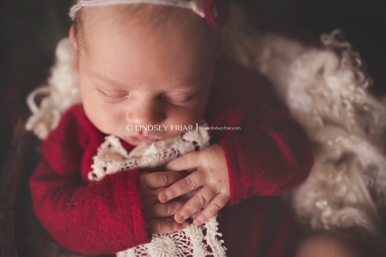 Pensacola Newborn Photographer - Lindsey Friar Photography 2015