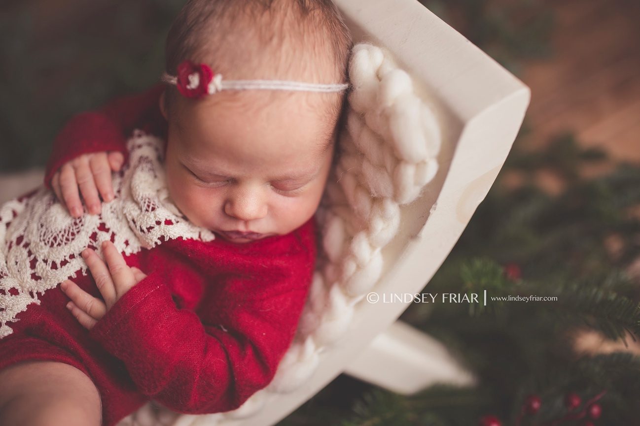 Pensacola Newborn Photographer - Lindsey Friar Photography 2015
