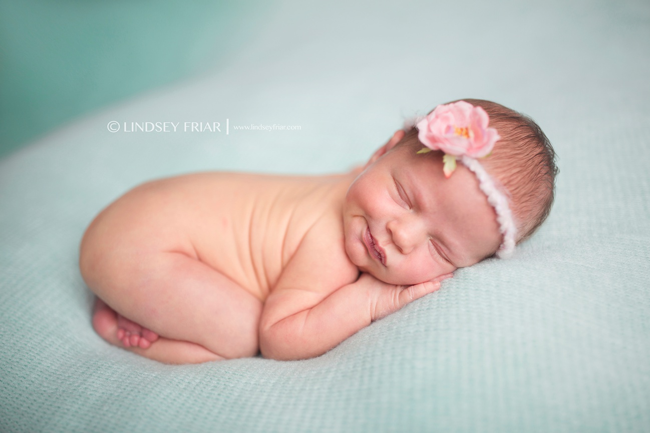 Pensacola Newborn Photographer - Lindsey Friar Photography 2015