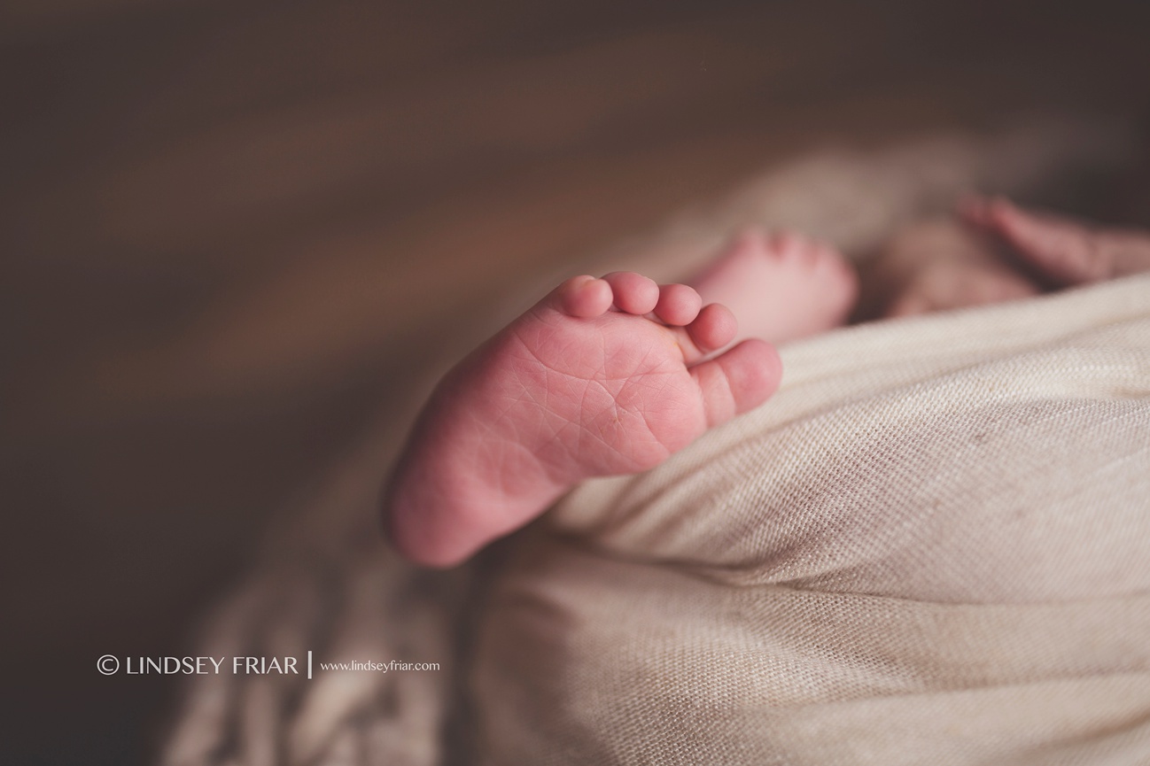 Pensacola Newborn Photographer - Lindsey Friar Photography 2015