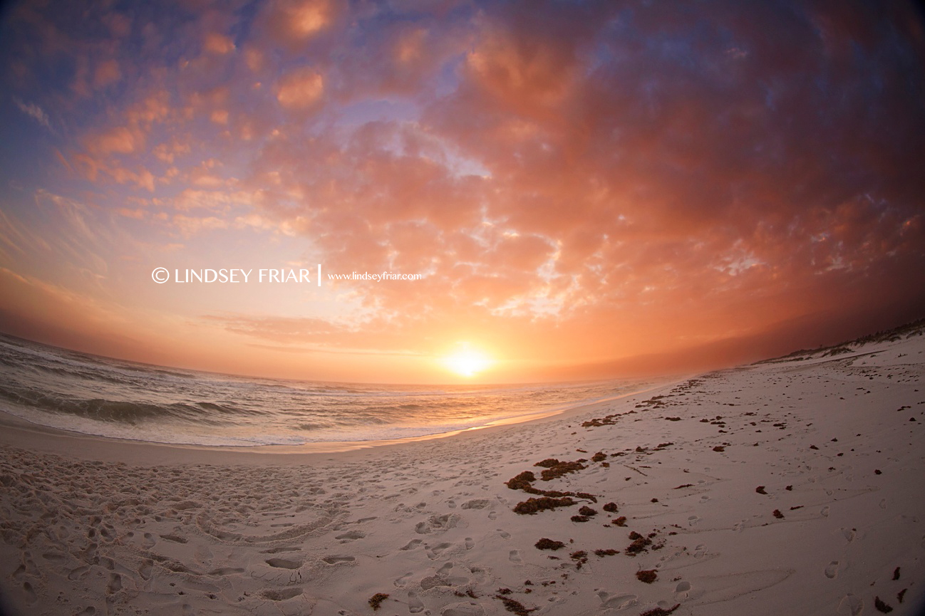 Pensacola, FL Family Photographer - Pensacola, FL- Lindsey Friar Photography