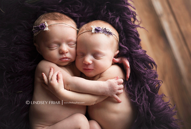 Pensacola Newborn Photographer - Lindsey Friar Photography 2015 Pensacola Newborn Photographer - Lindsey Friar Photography 2015