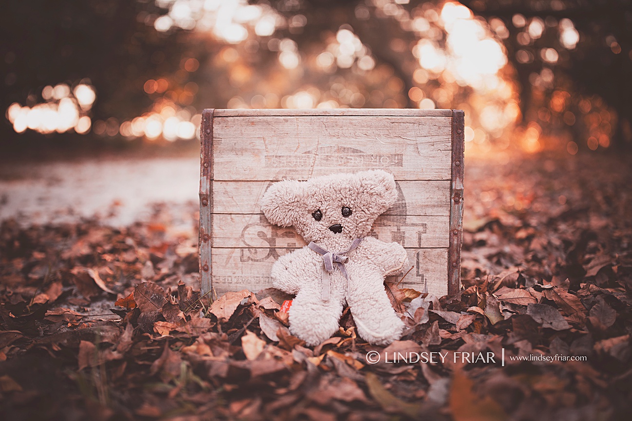 Pensacola Family, Children and Newborn Photographer, Pensacola, FL