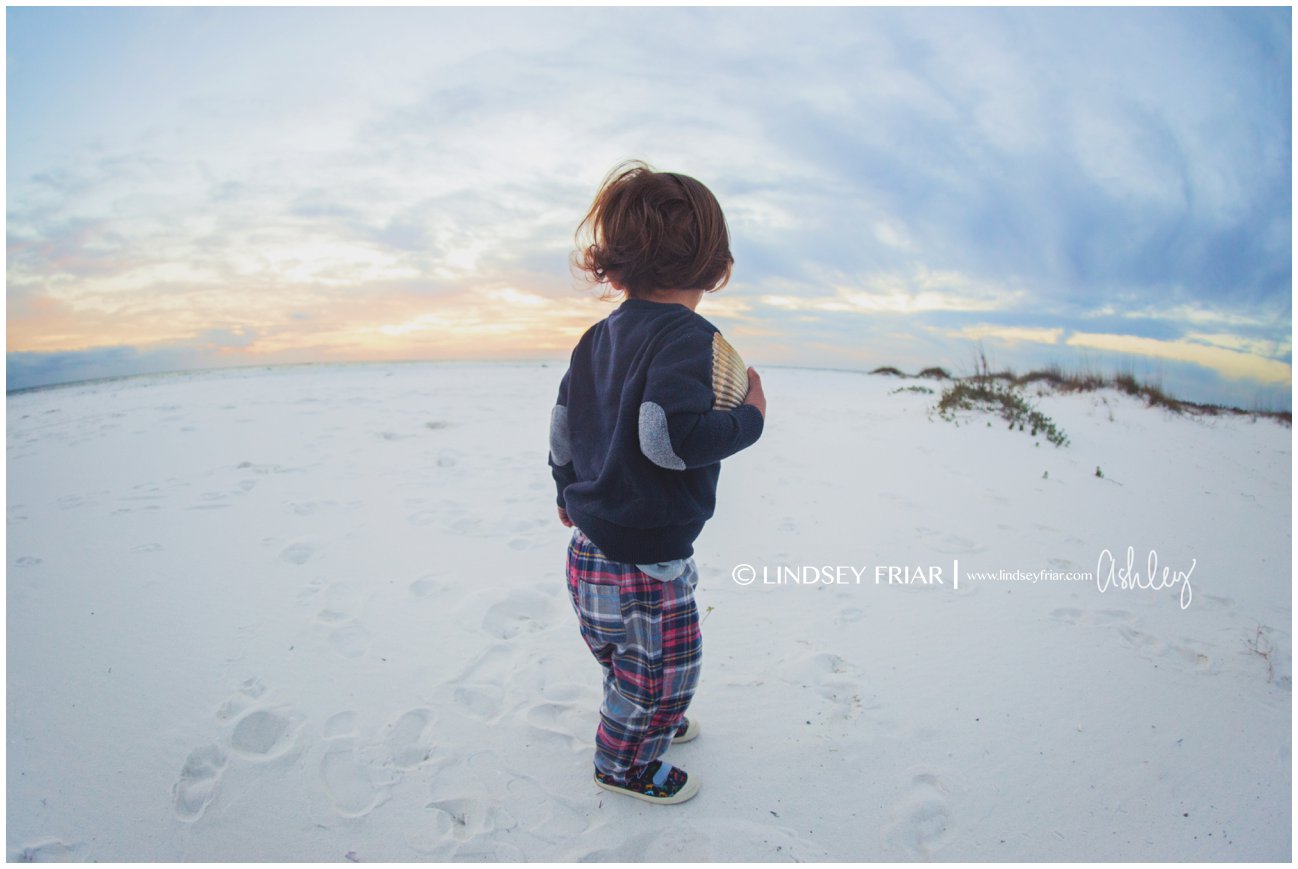Pensacola, FL Family Photographer - Lindsey Friar Photography 2015