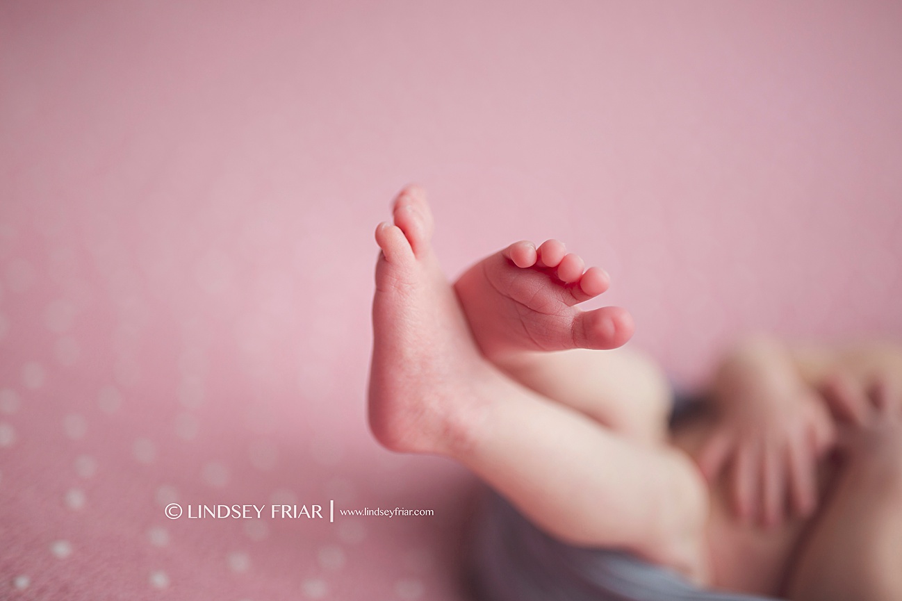 Pensacola Newborn Photographer Pensacola Florida Newborn Photographer