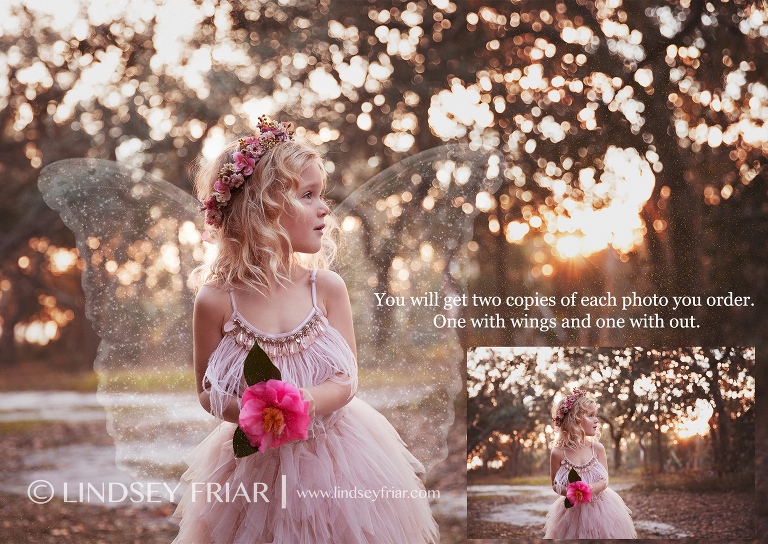 Fairy Mini Sessions Pensacola, Florida