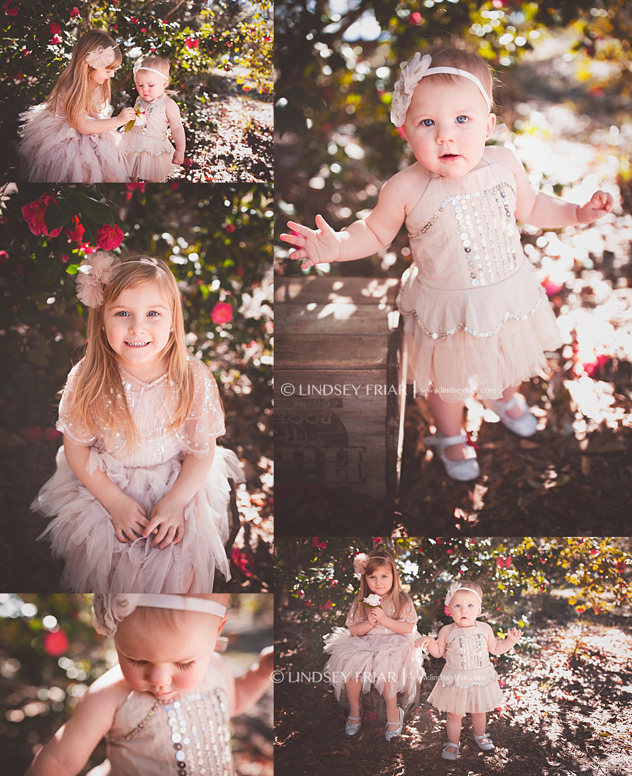 Pensacola Child Photographer Pensacola Child Photographer
