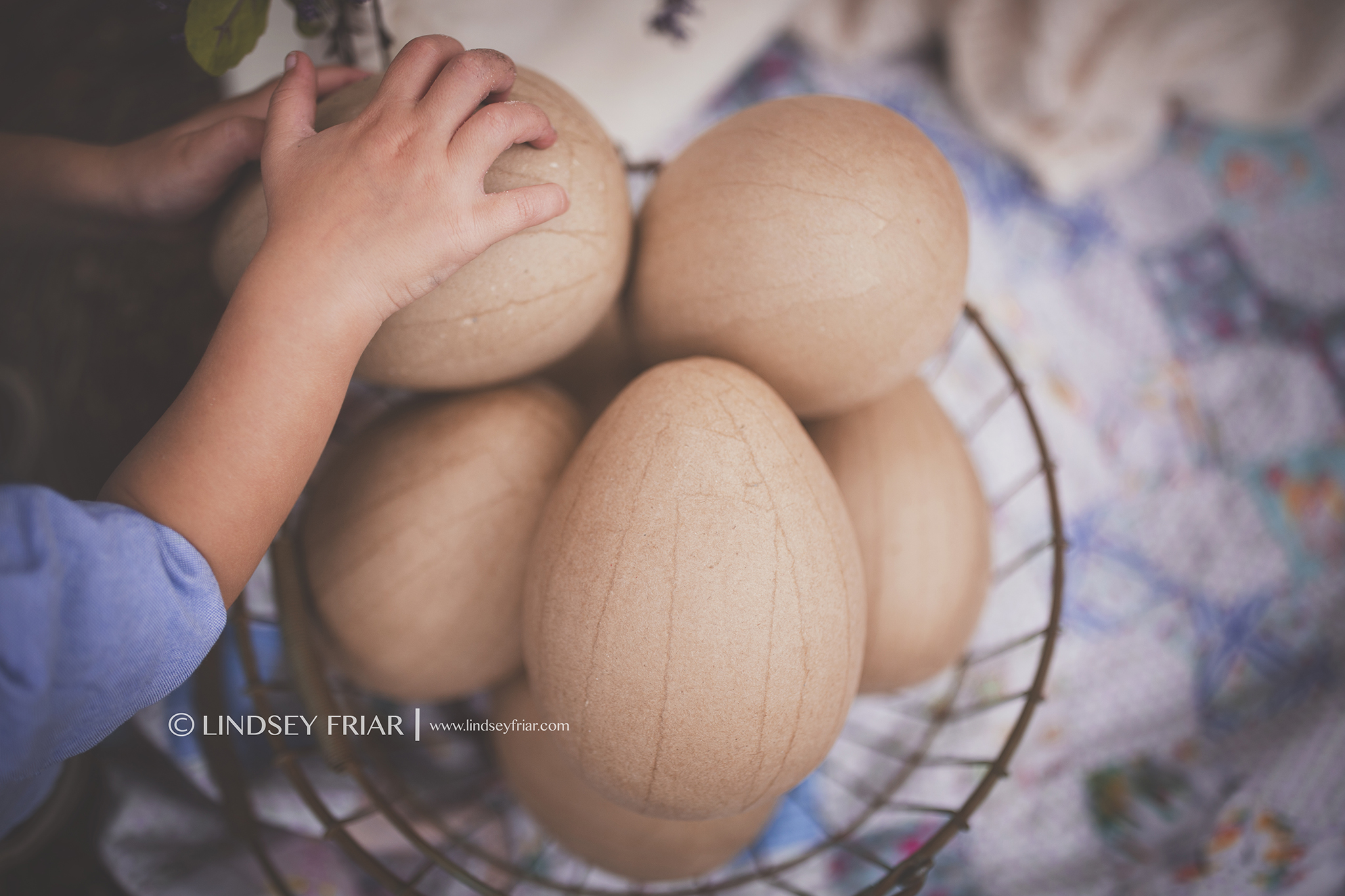 Pensacola, Florida Easter Mini Sessions Pensacola, Florida Easter Mini Sessions