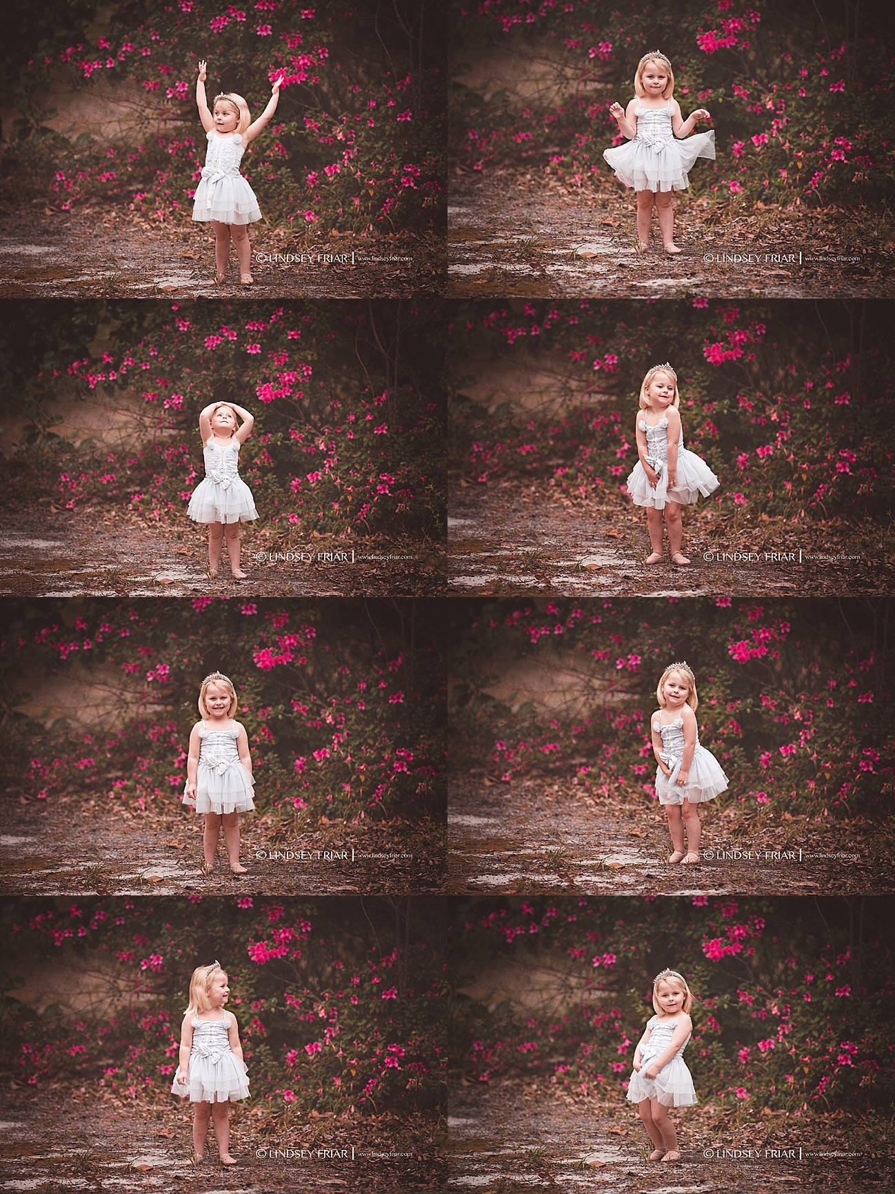 Gulf Breeze Florida Photographer Gulf Breeze Florida Photographer