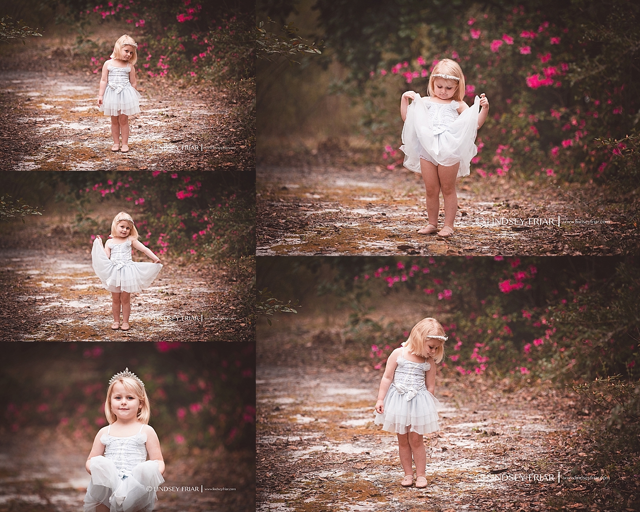 Gulf Breeze Florida Photographer Gulf Breeze Florida Photographer