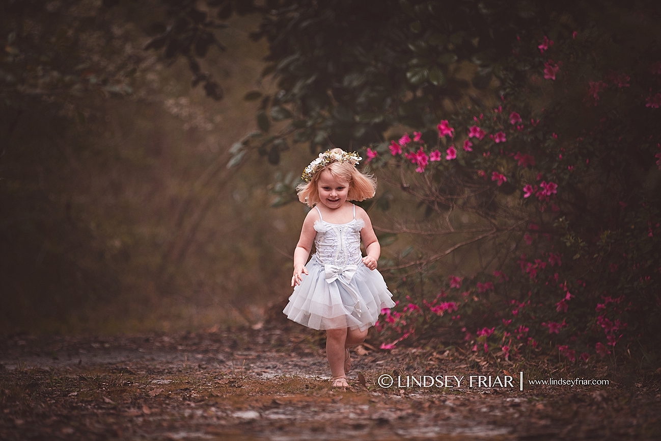 Gulf Breeze Florida Photographer Gulf Breeze Florida Photographer