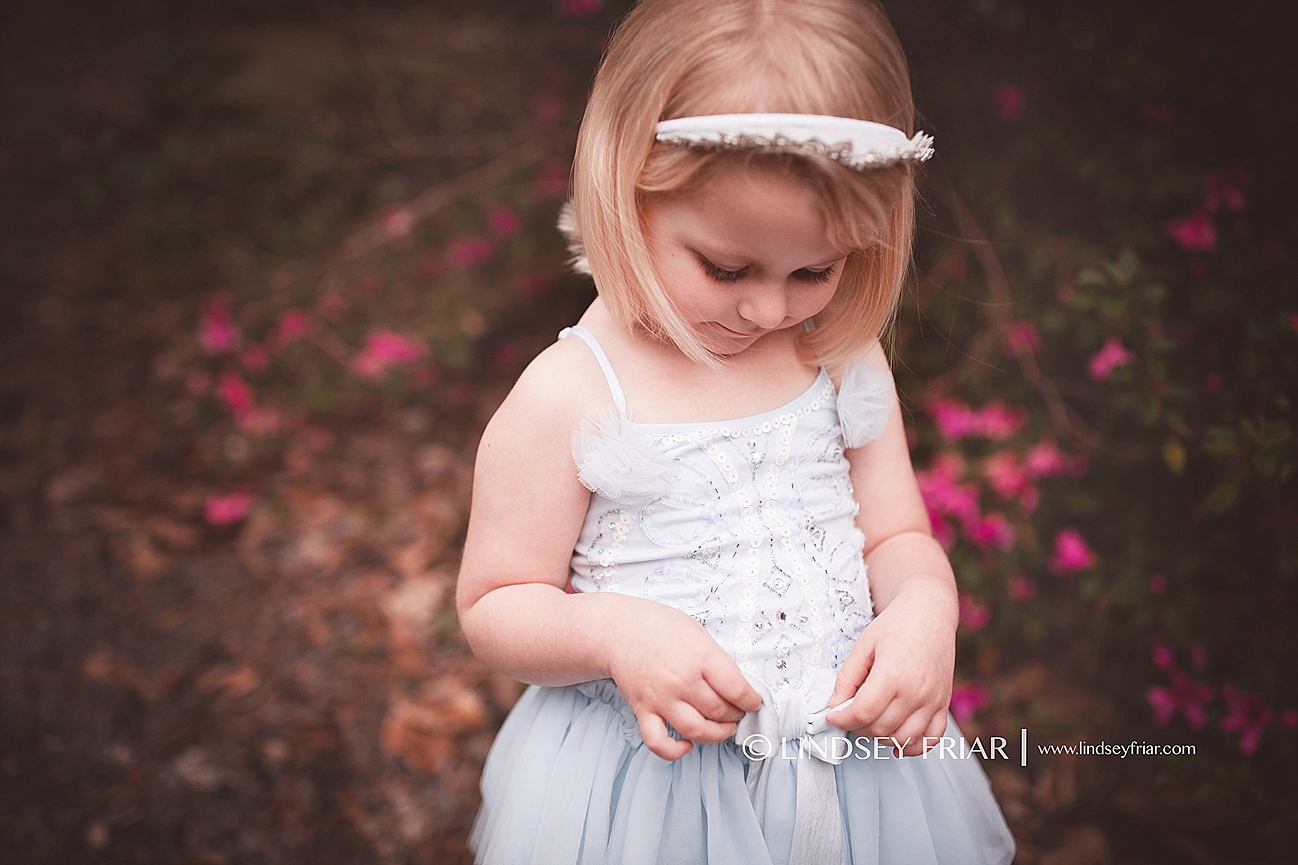 Gulf Breeze Florida Photographer Gulf Breeze Florida Photographer