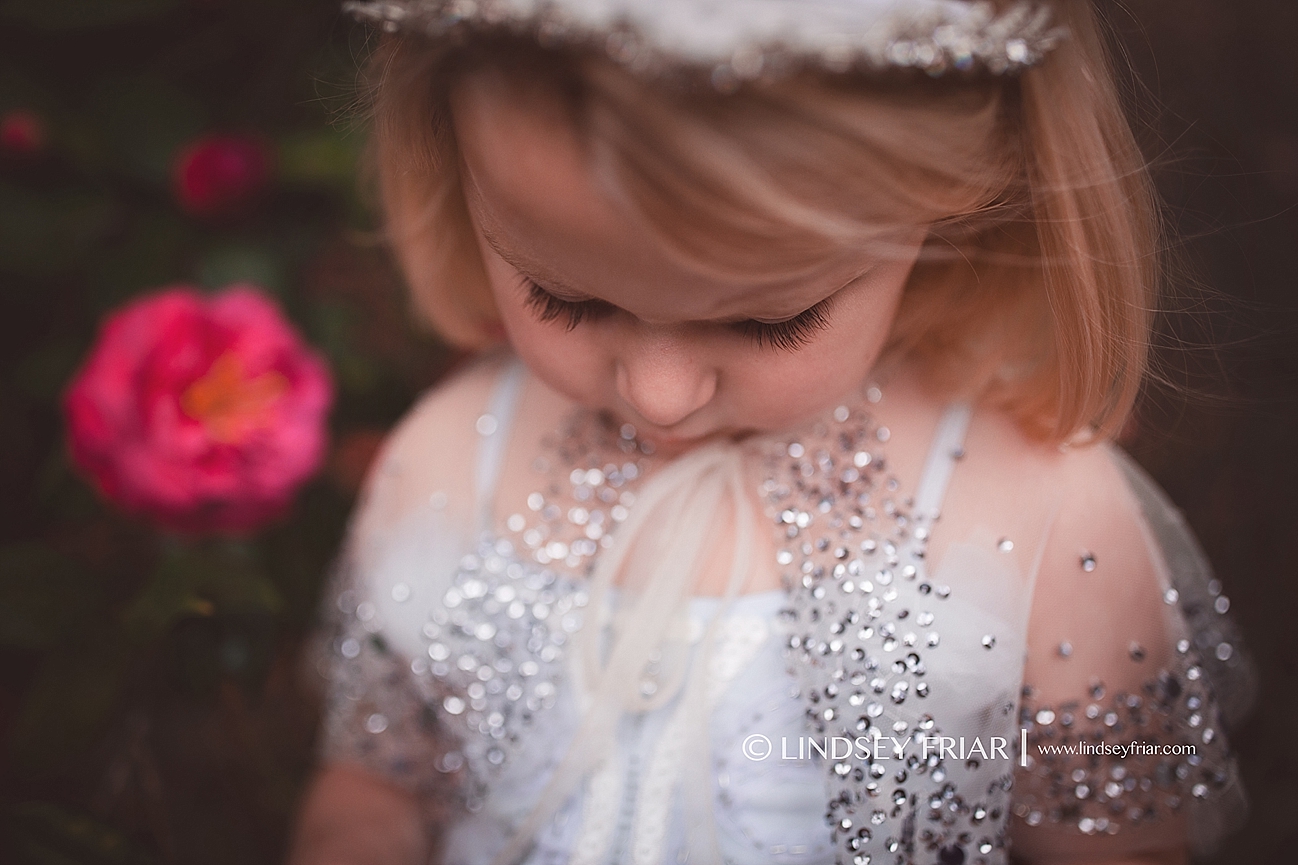 Gulf Breeze Florida Photographer Gulf Breeze Florida Photographer