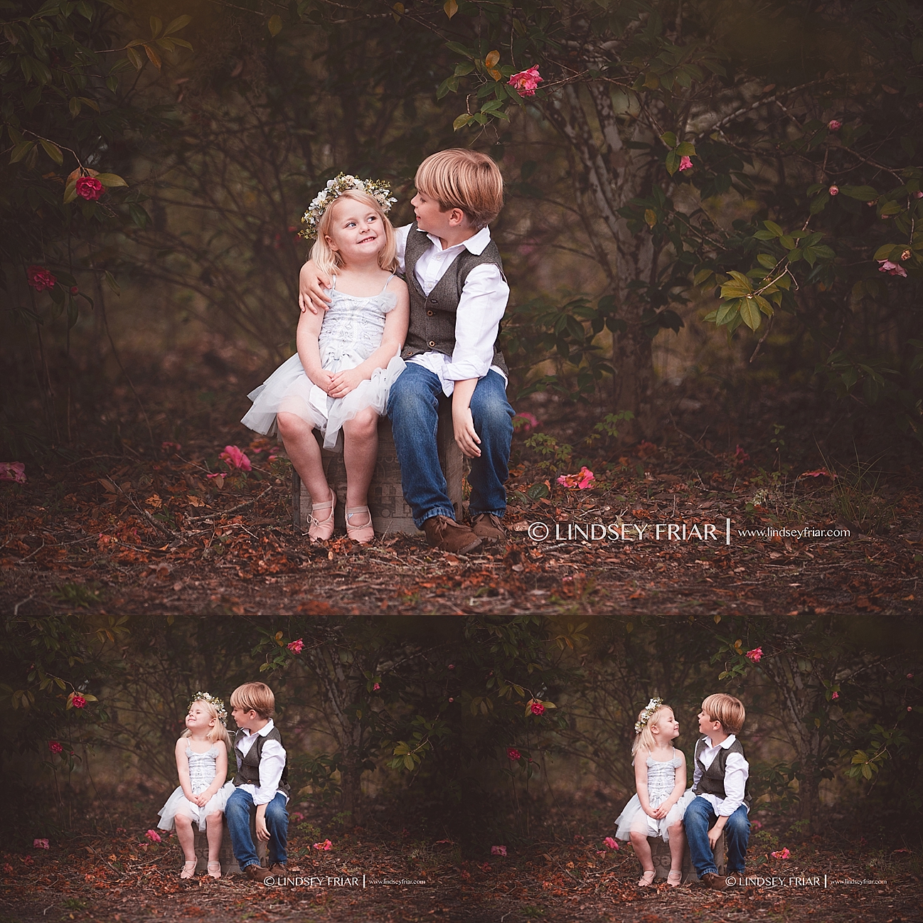 Gulf Breeze Florida Photographer Gulf Breeze Florida Photographer