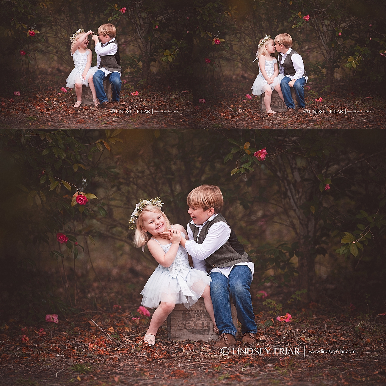 Gulf Breeze Florida Photographer Gulf Breeze Florida Photographer