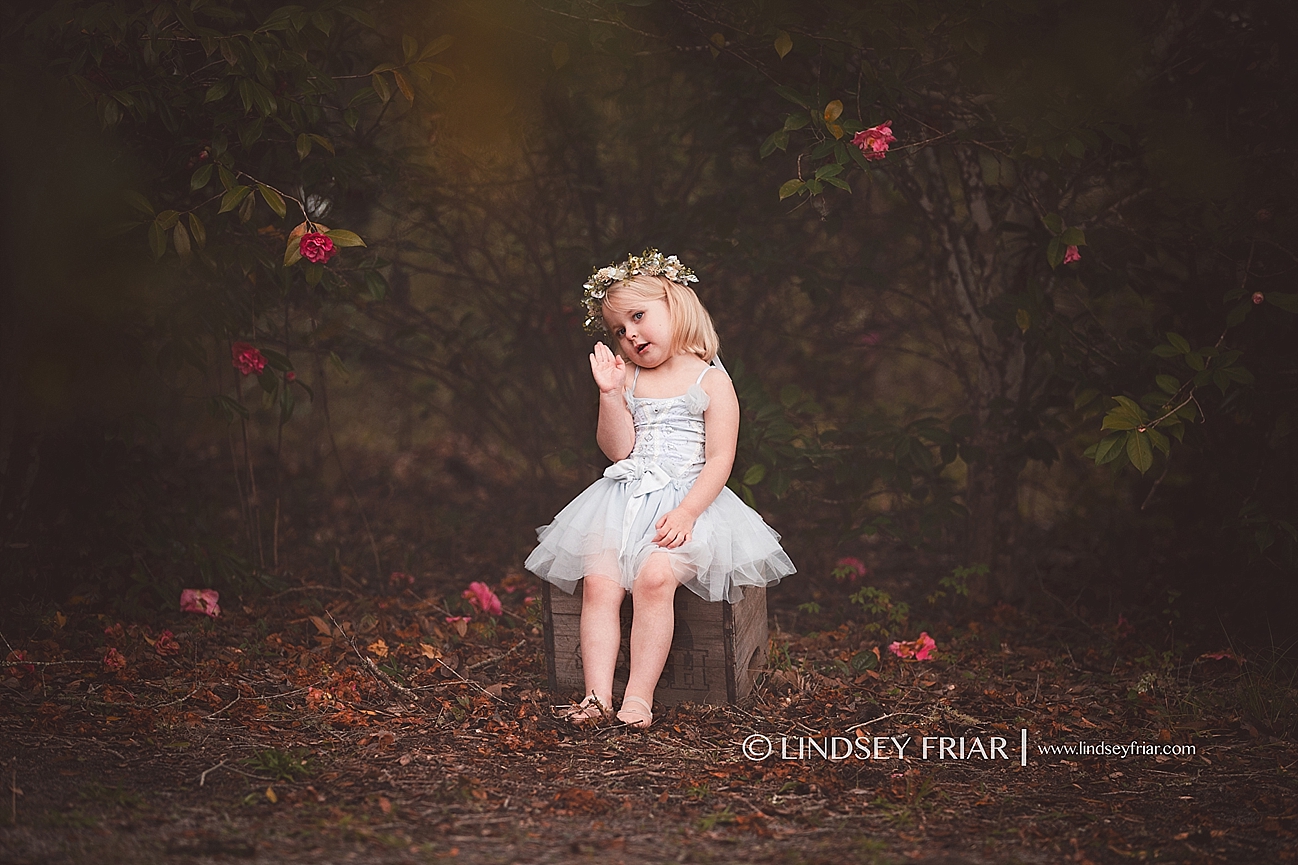 Gulf Breeze Florida Photographer Gulf Breeze Florida Photographer