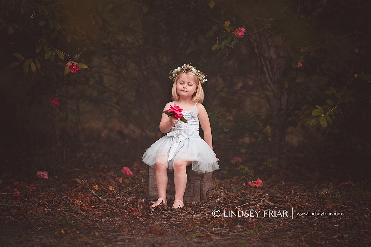 Gulf Breeze Florida Photographer Gulf Breeze Florida Photographer