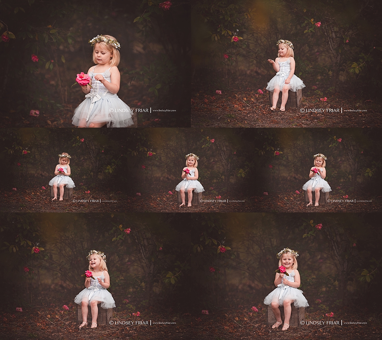 Gulf Breeze Florida Photographer Gulf Breeze Florida Photographer