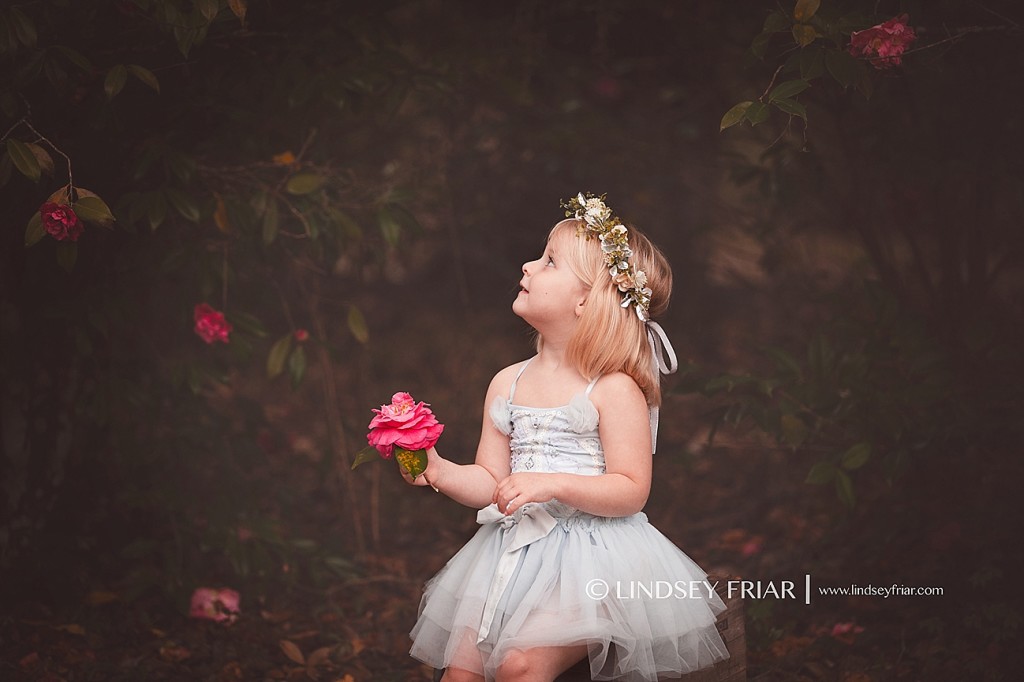Gulf Breeze Florida Photographer