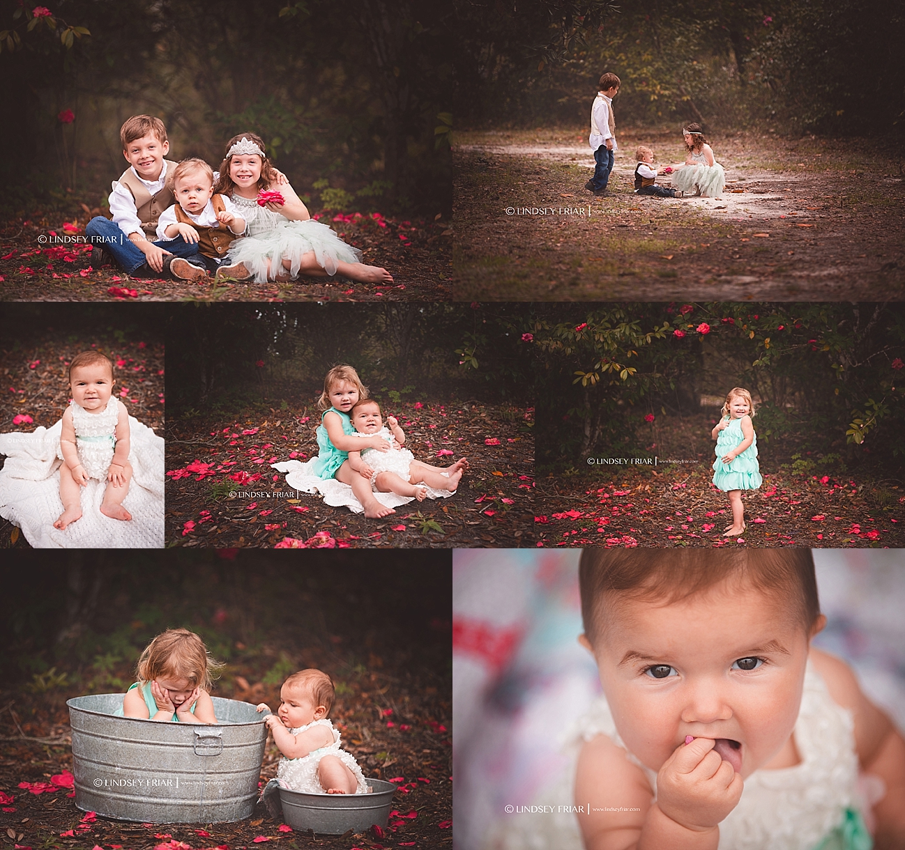 Gulf Breeze, FL Photographer Gulf Breeze, FL Photographer