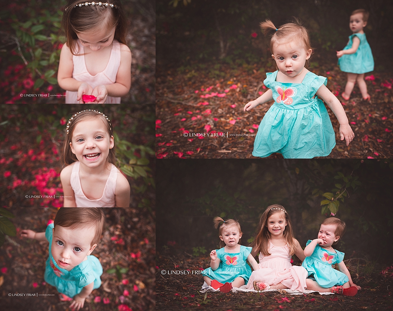 Gulf Breeze, FL Photographer Gulf Breeze, FL Photographer