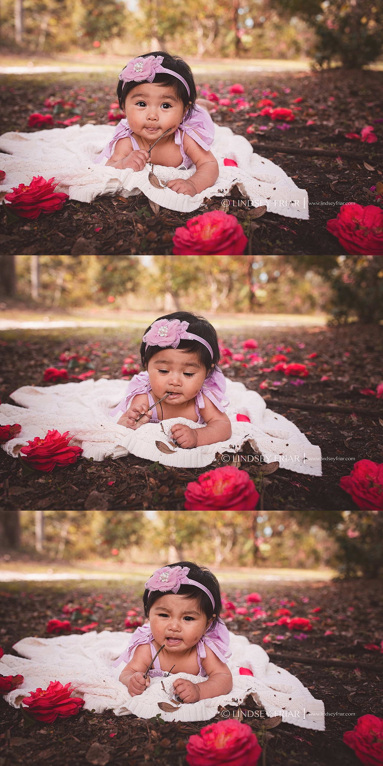 Gulf Breeze, FL Photographer