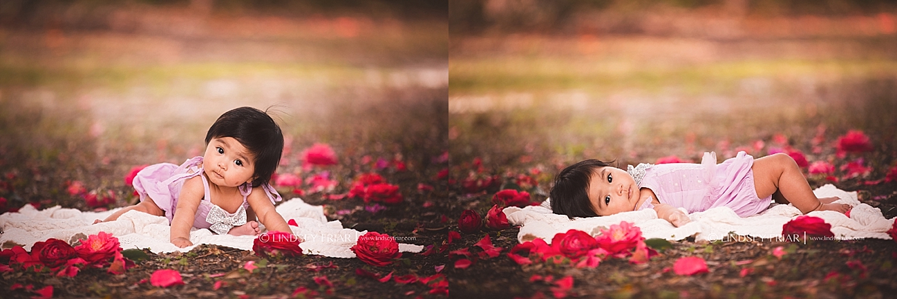 Gulf Breeze, FL Photographer