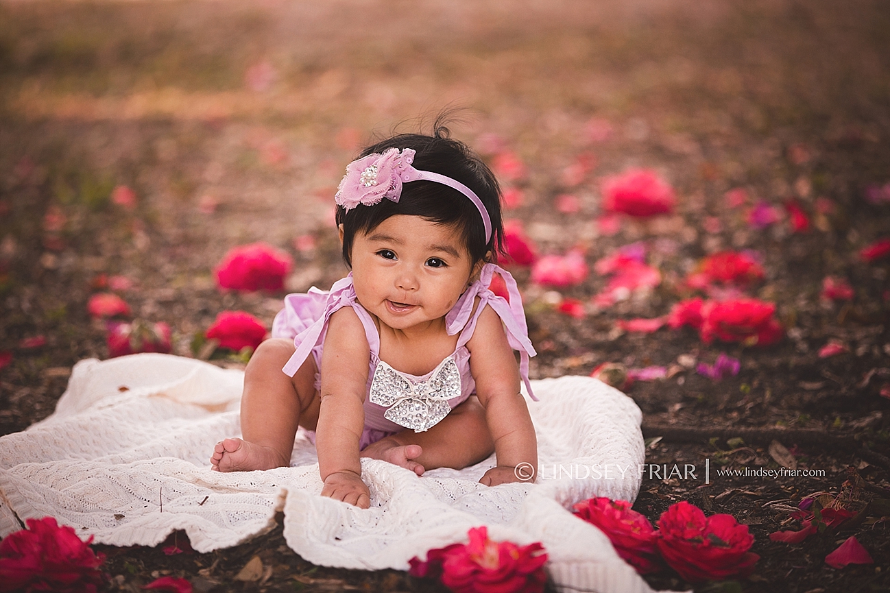 Gulf Breeze, FL Photographer