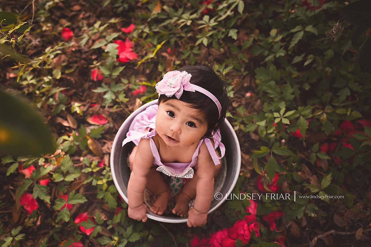 Gulf Breeze, FL Photographer