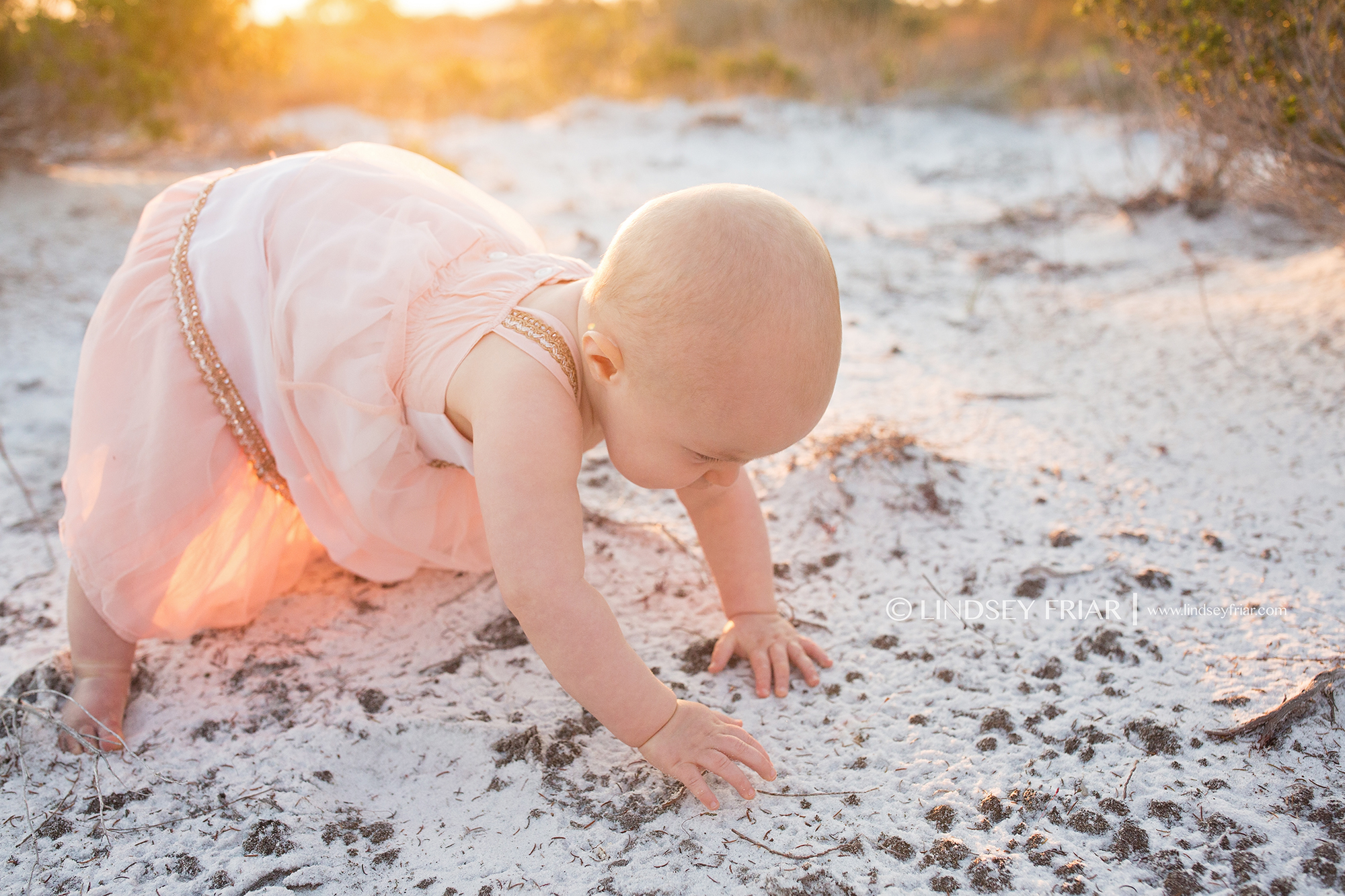 Pensacola Beach, FL Photographer