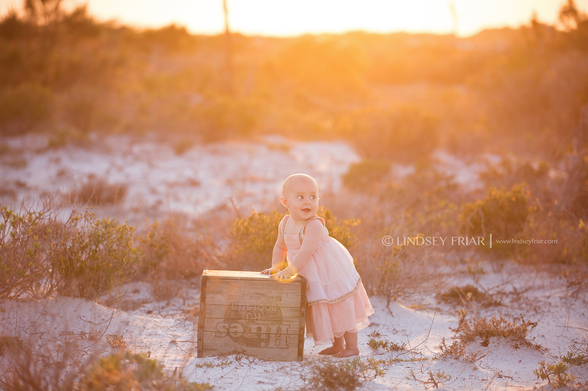 Pensacola Beach, FL Photographer