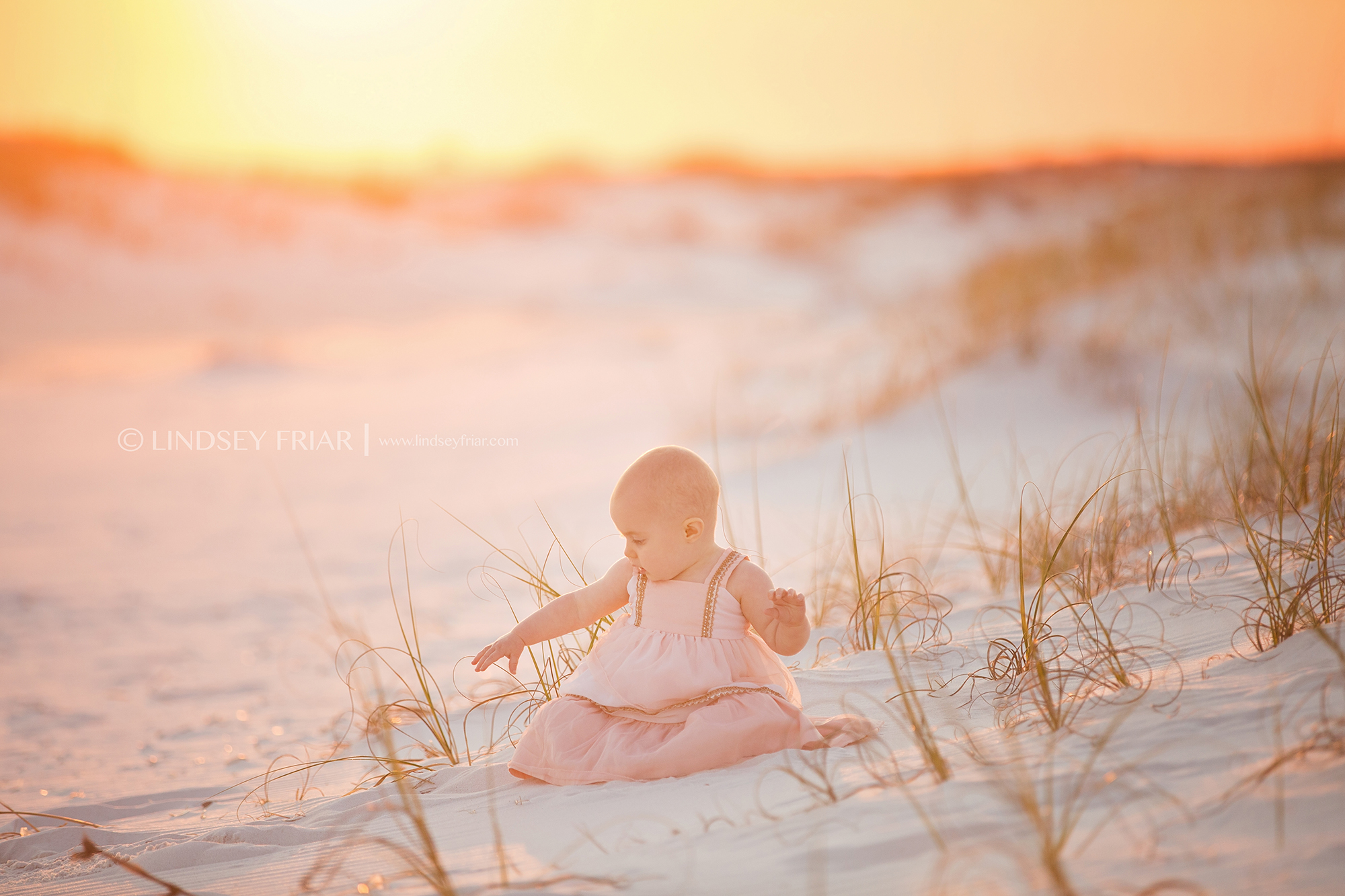 Pensacola Beach, FL Photographer