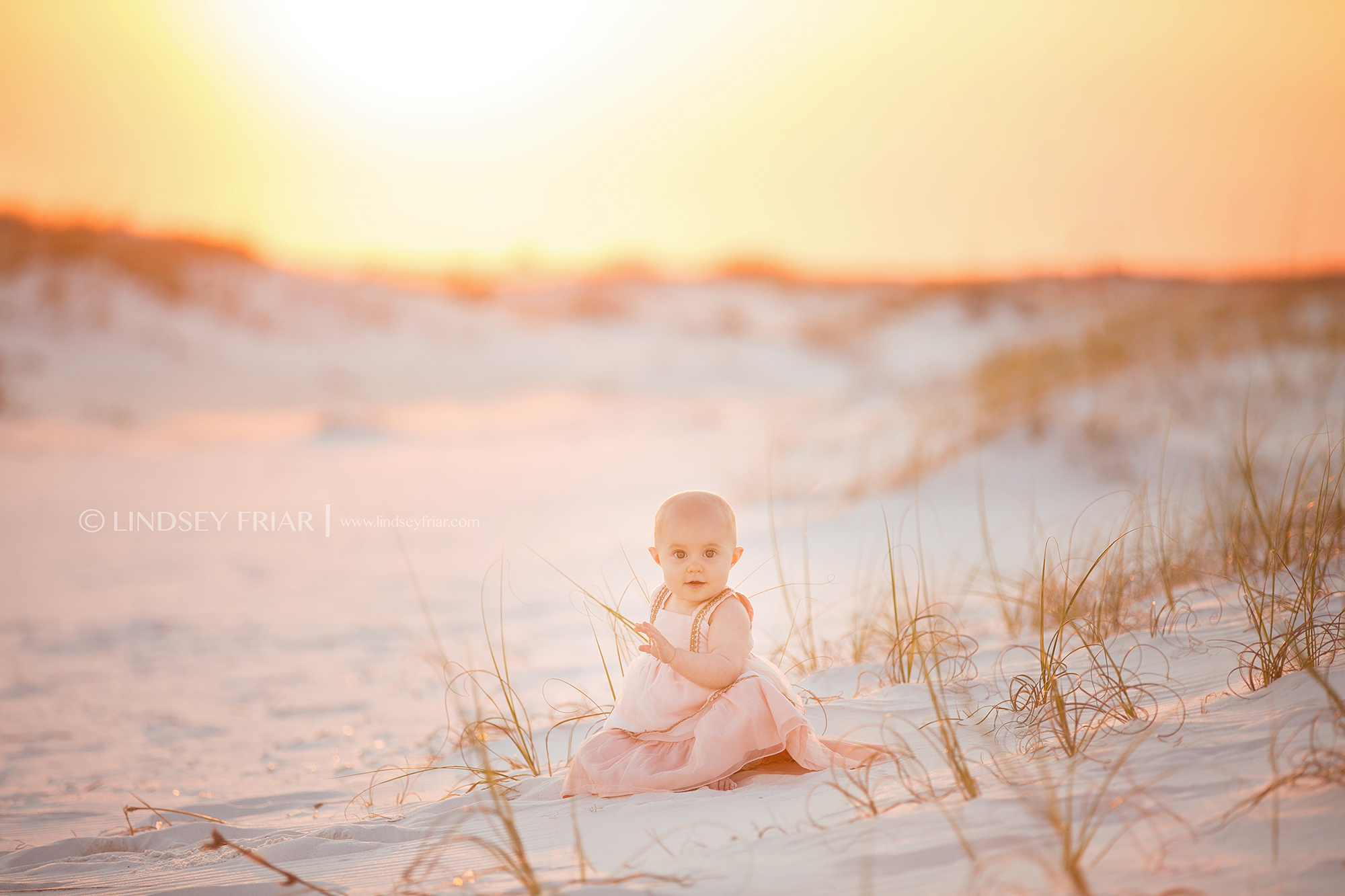 Pensacola Beach, FL Photographer