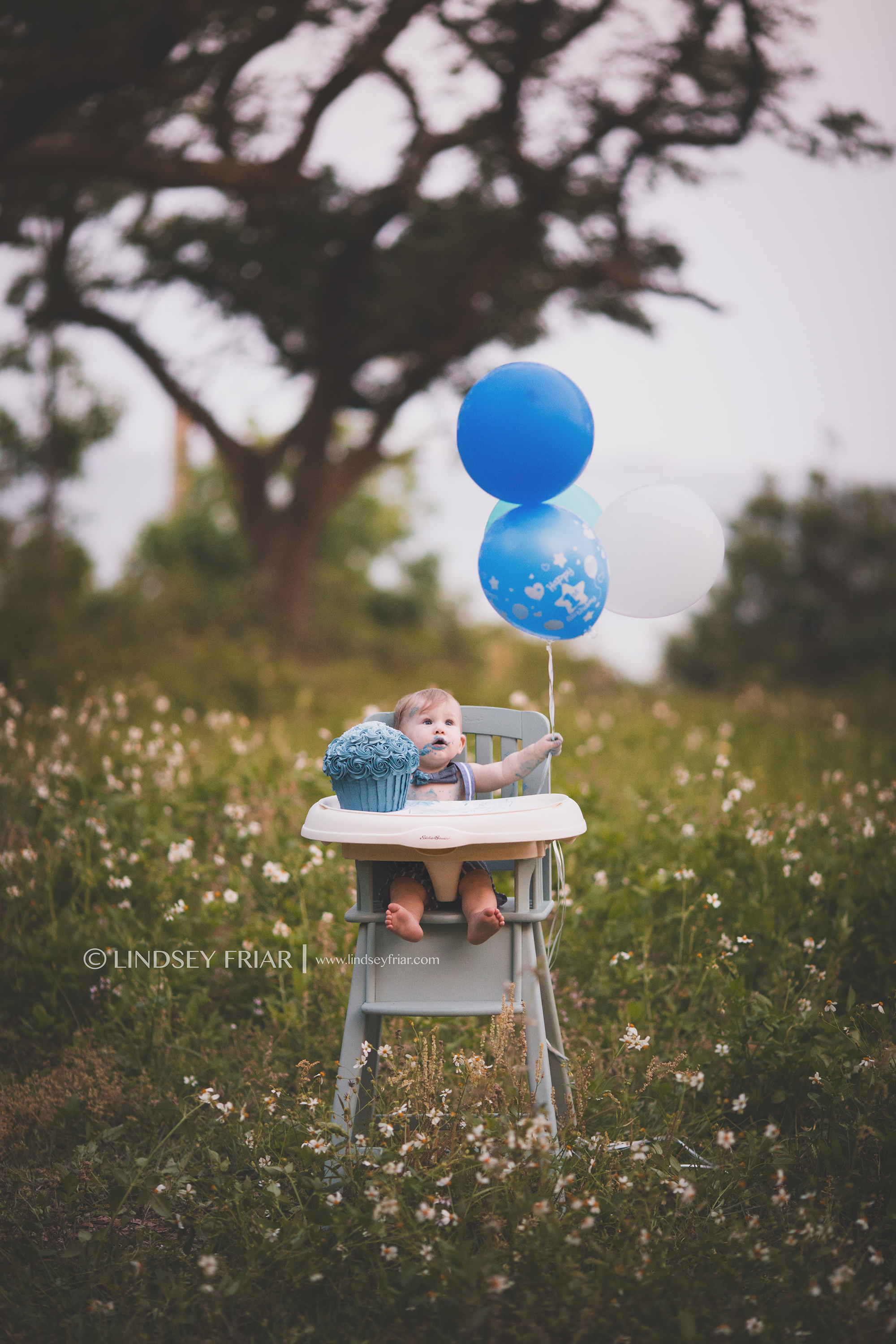 Gulf Breeze, FL Family, Children and Newborn Photographer Gulf Breeze, FL Family, Children and Newborn Photographer