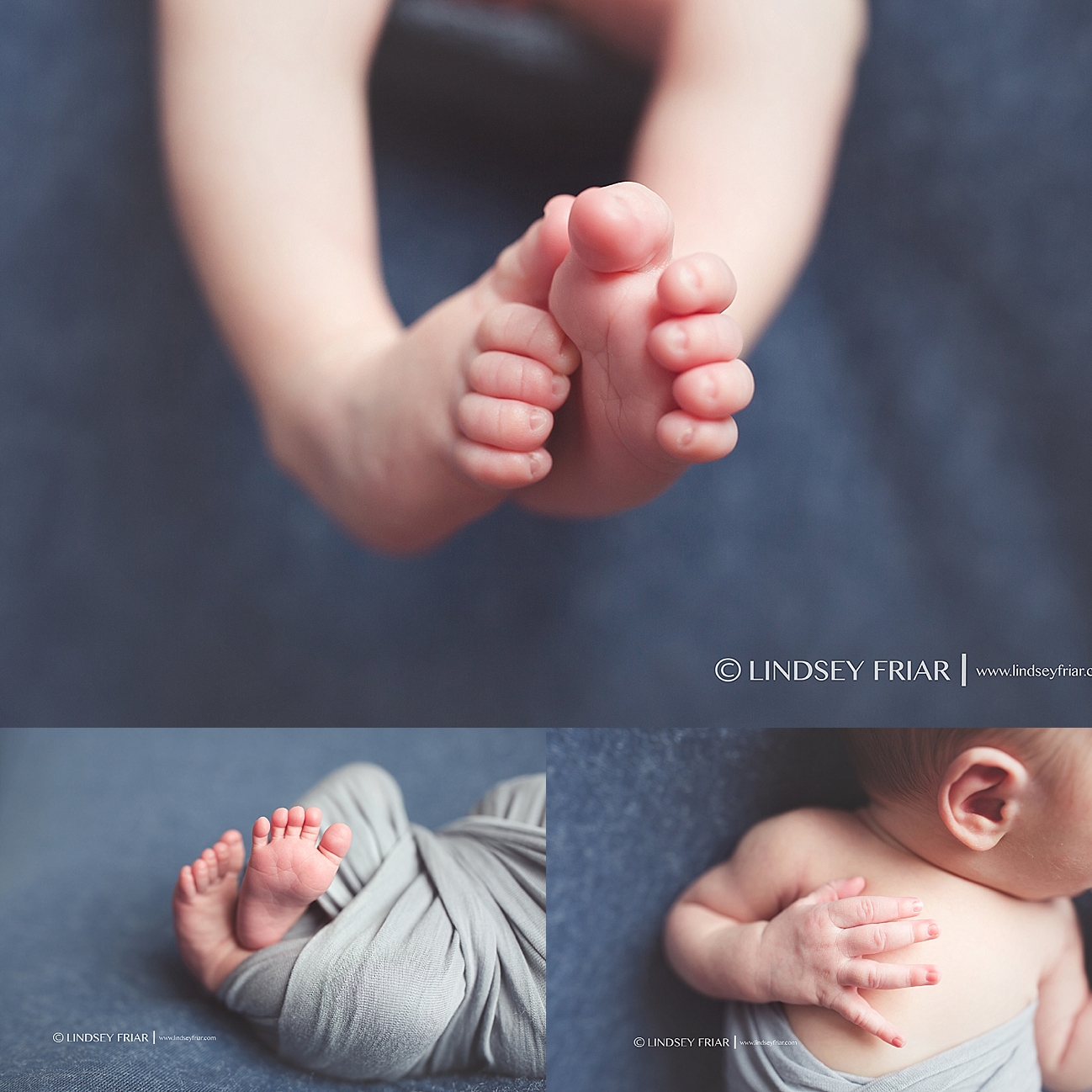 Newborn Baby Photographs in Pensacola, Florida