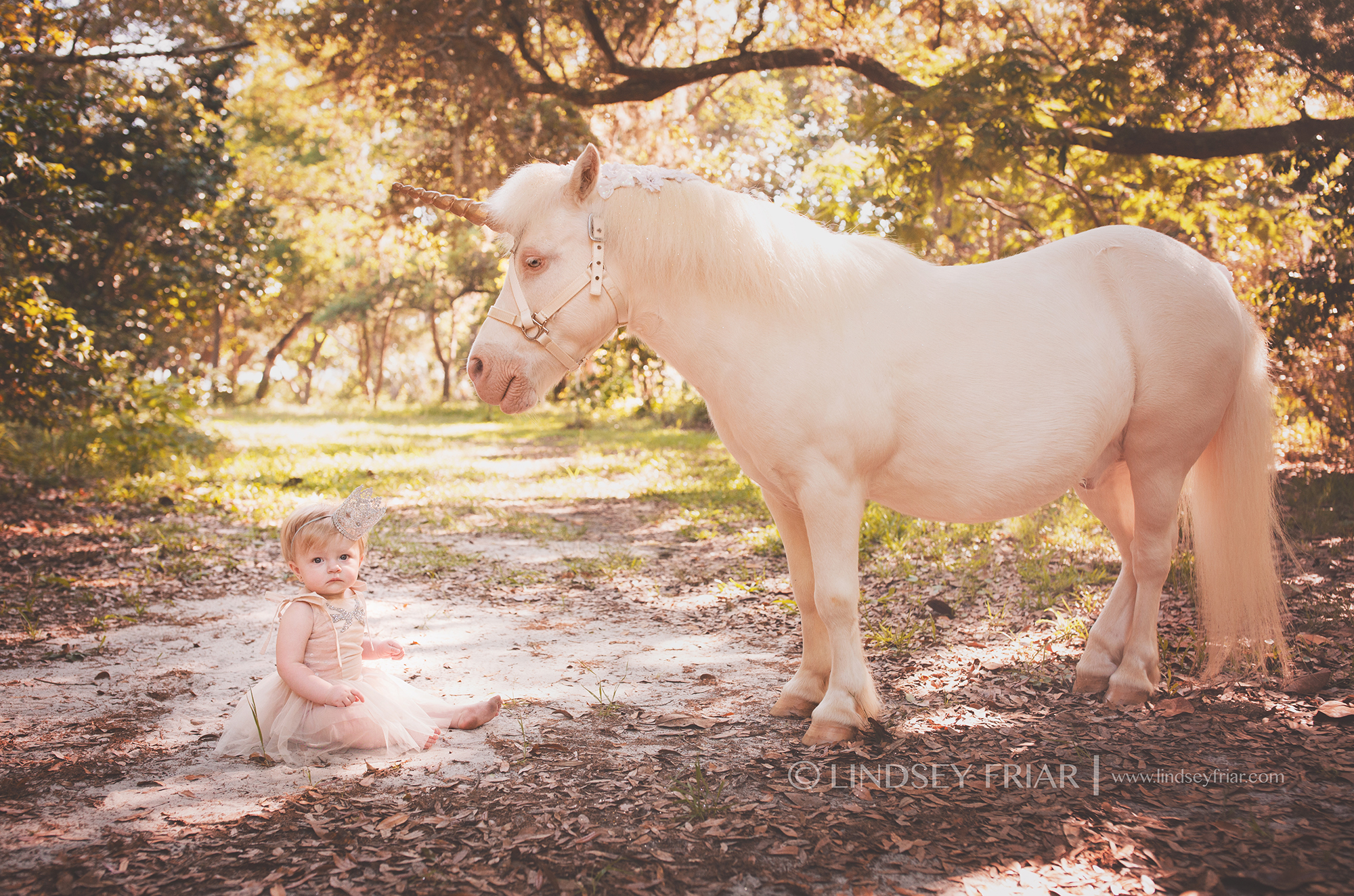 Gulf Breeze, FL Baby Photographer