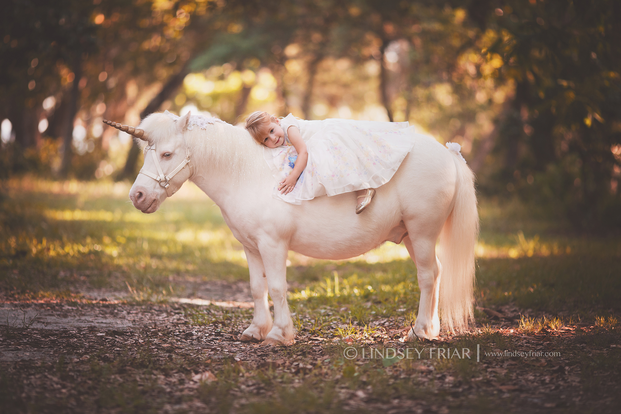 Gulf Breeze, FL Child Photographer