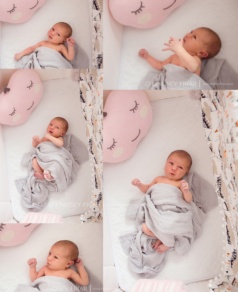 Newborn Baby Photographs in Pensacola, Florida