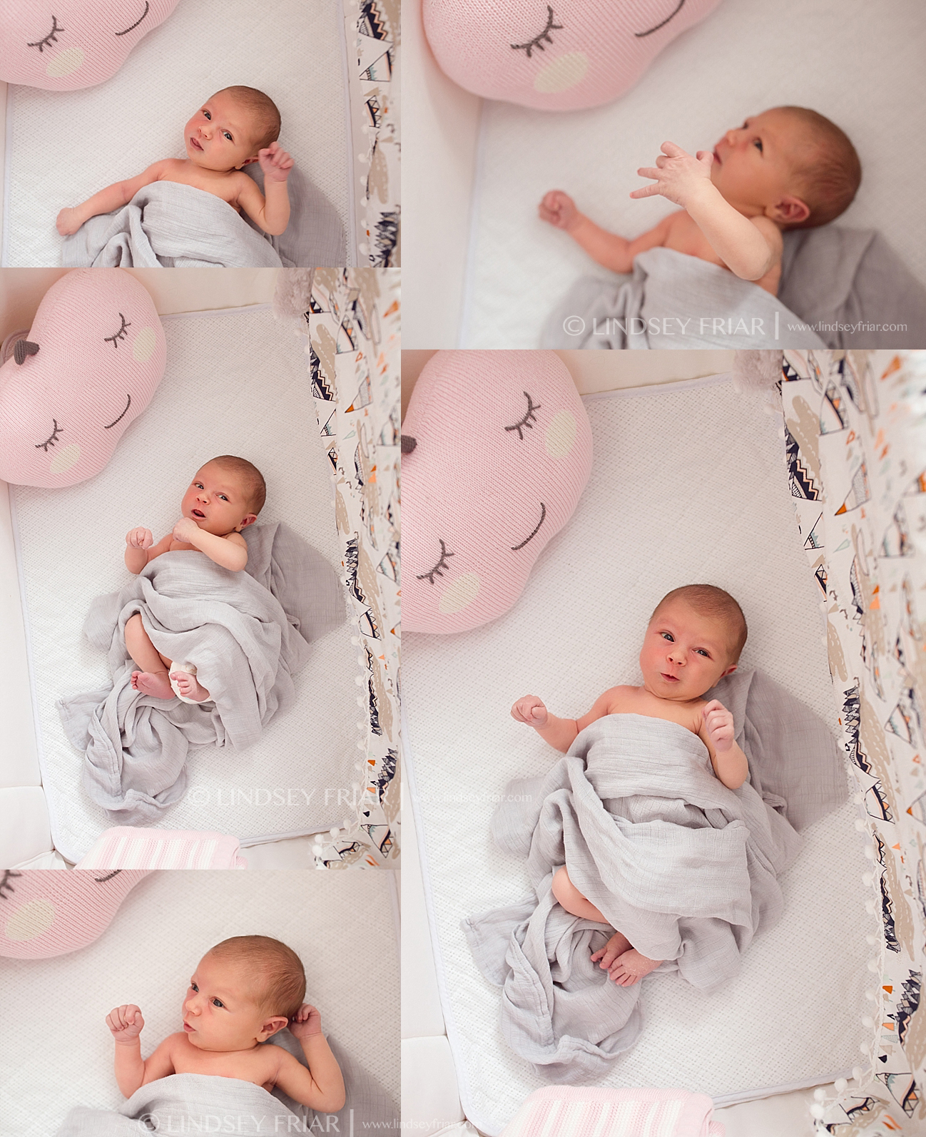 Pensacola Newborn Photographer Newborn Baby Photographs in Pensacola, Florida