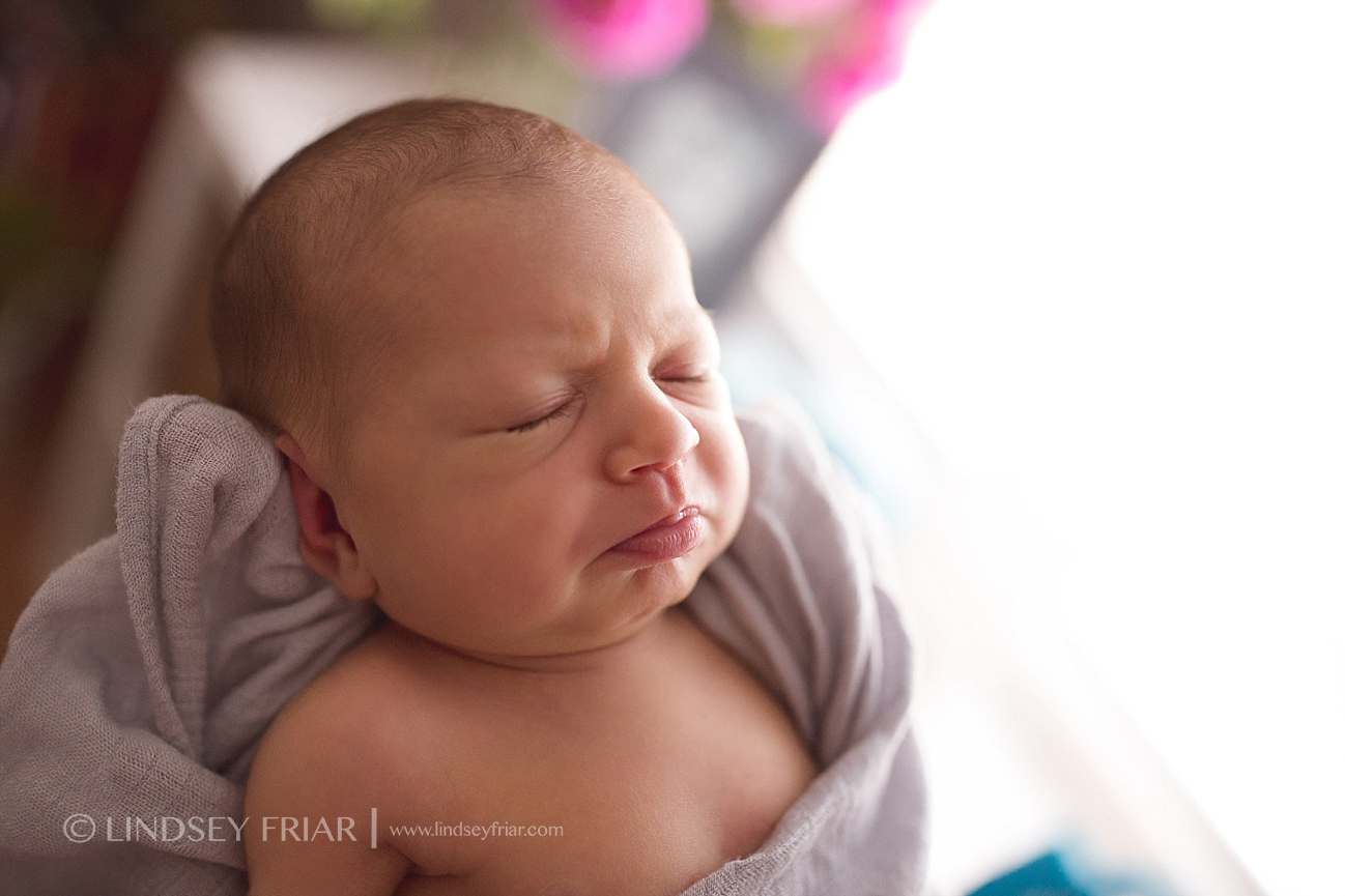 Pensacola Newborn Photographer Newborn Baby Photographs in Pensacola, Florida