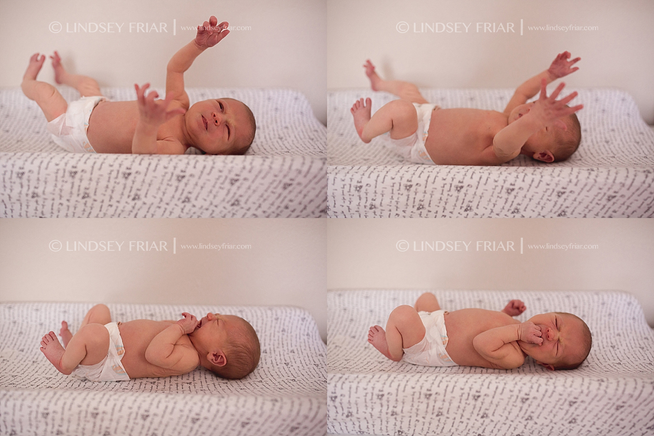Pensacola Newborn Photographer Newborn Baby Photographs in Pensacola, Florida