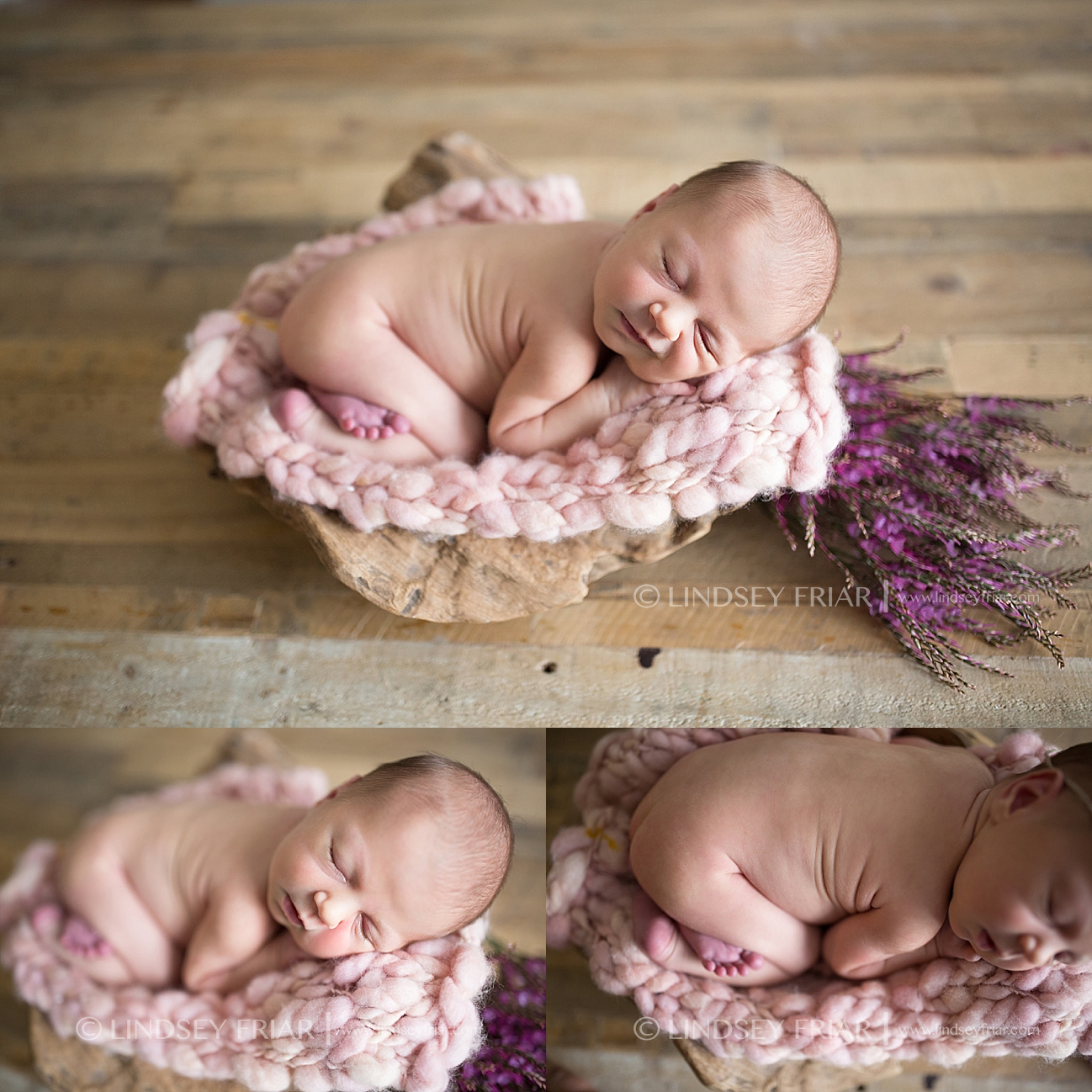 Pensacola Newborn Photographer Newborn Baby Photographs in Pensacola, Florida